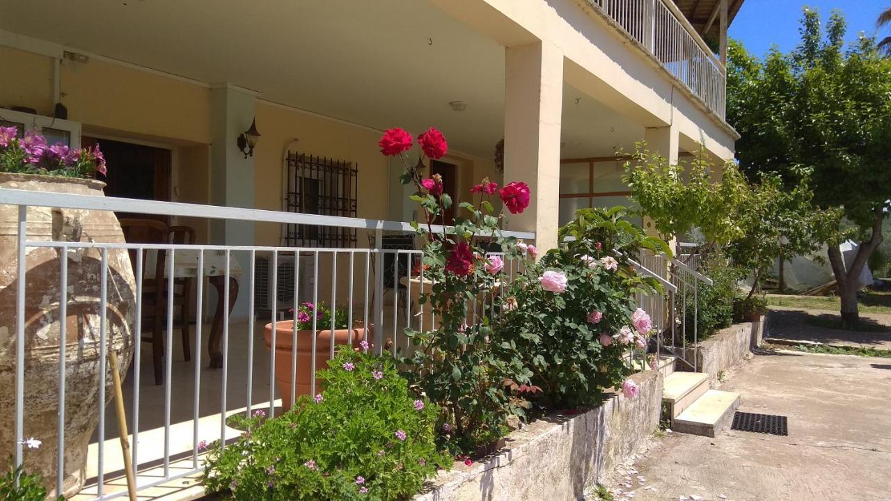 Mallios Country House Near 奥林匹亚 外观 照片